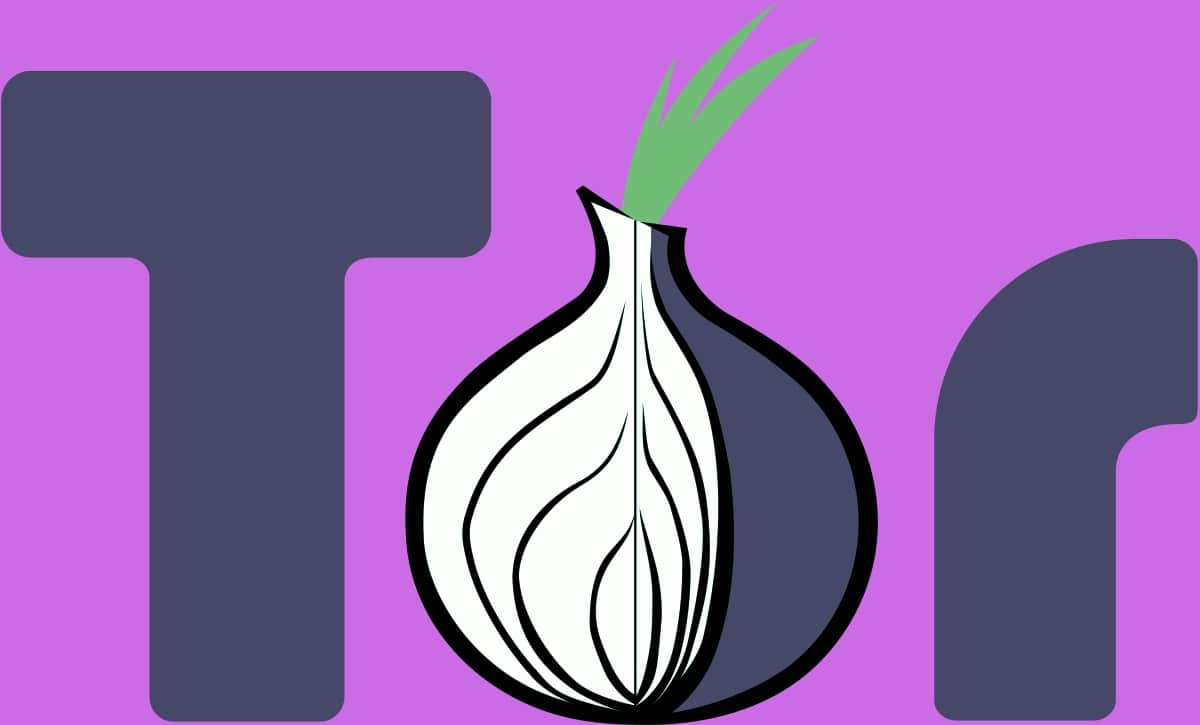 Confidentialité en ligne : tor, vpn, navigation privée... quelle solution choisir pour protéger vraiment votre vie privée ?
